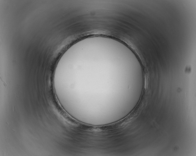 X0000112150253200908071010