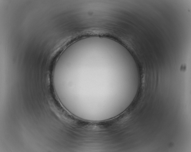 X0000112150254200908071010