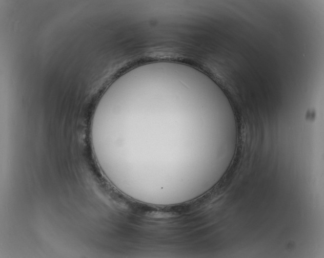 X0000112150255200908071010