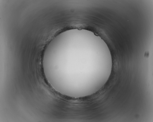 X0000112150259200908071010