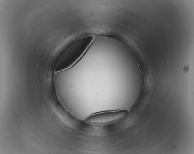 X0000112150260200908071010