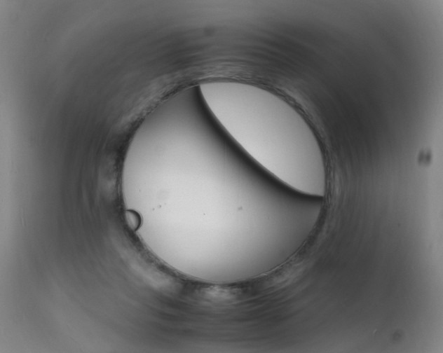 X0000112150261200908071010