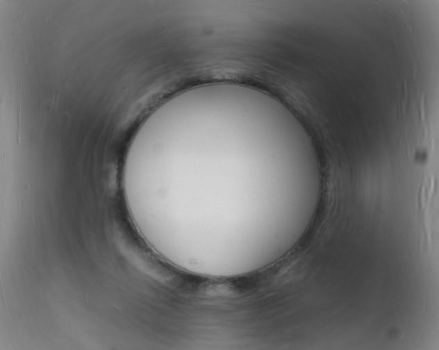 X0000112150262200908071010