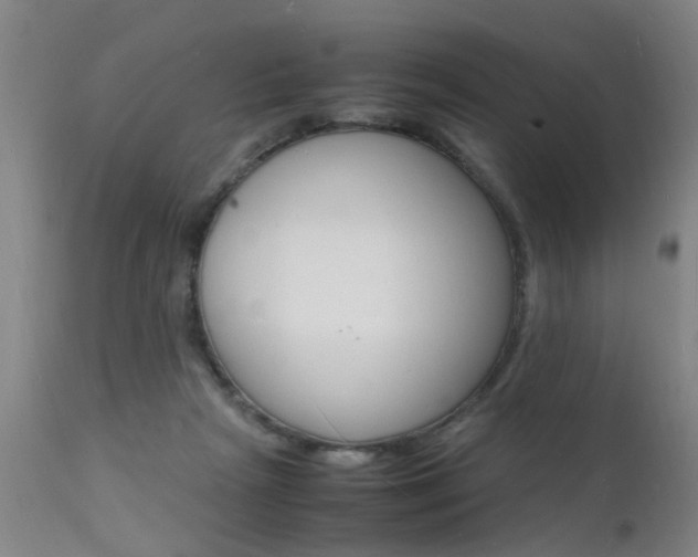 X0000112150265200908071010
