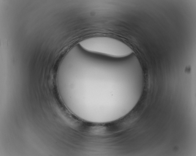 X0000112150266200908071010