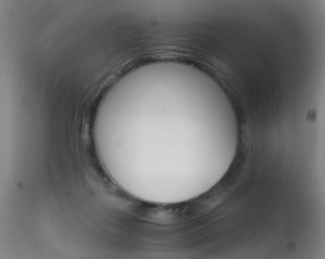 X0000112150267200908071010
