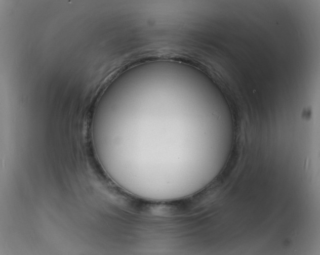 X0000112150268200908071010