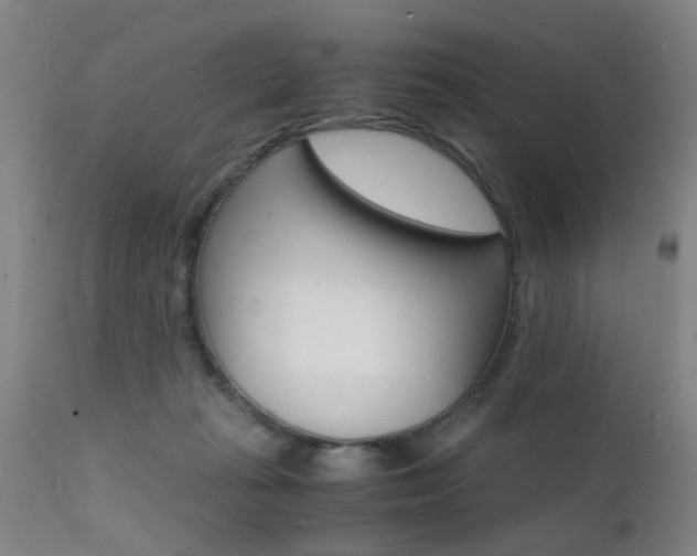 X0000112150269200908071010