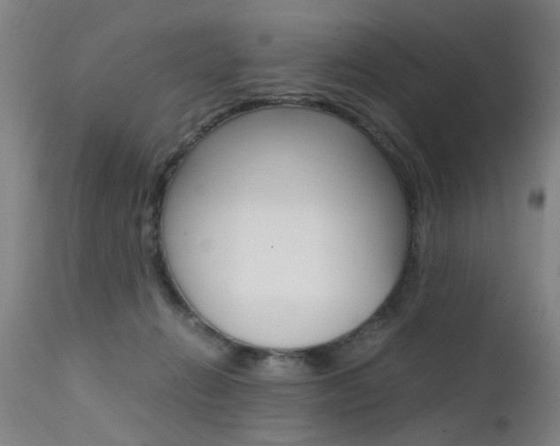 X0000112150270200908071010