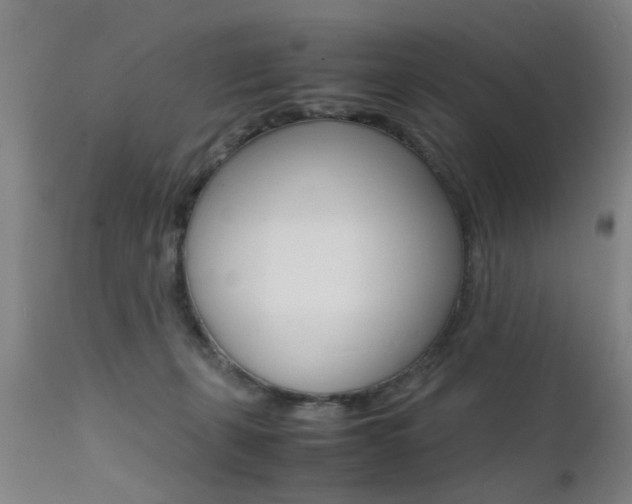 X0000112150271200908071010