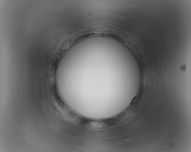 X0000112150272200908071010