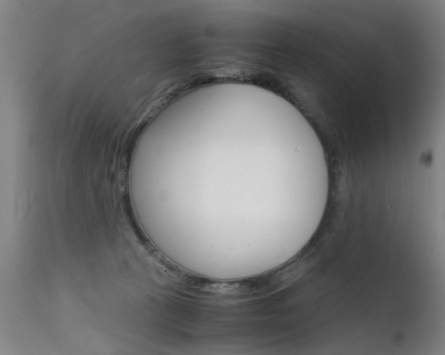 X0000112150273200908071010