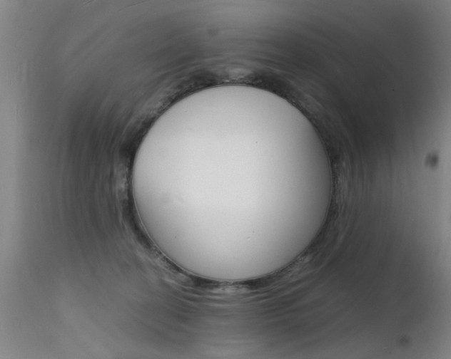 X0000112150274200908071010