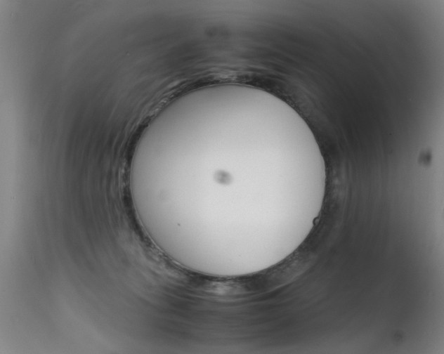 X0000112150275200908071010
