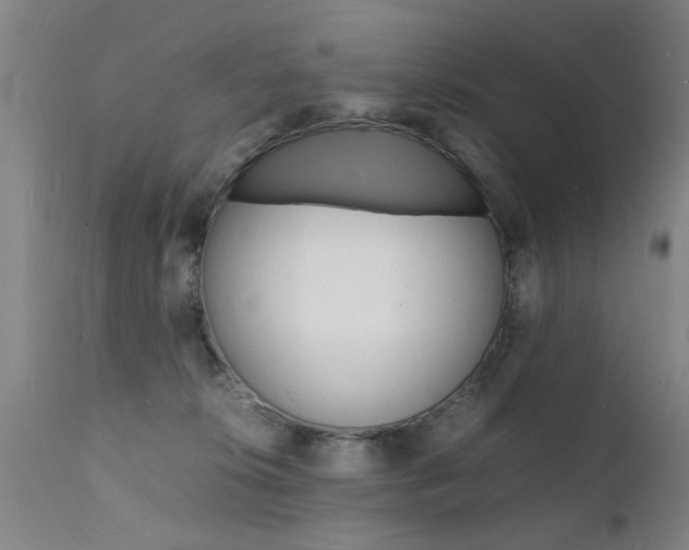 X0000112150276200908071010