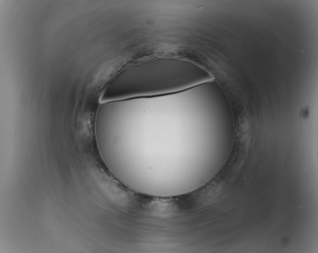 X0000112150280200908071010
