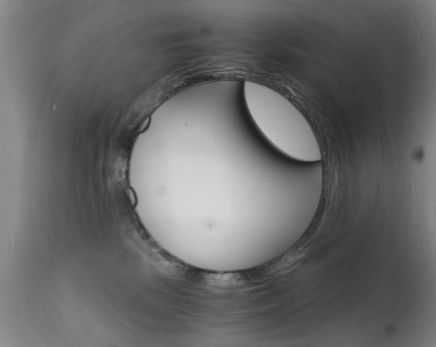 X0000112150281200908071010