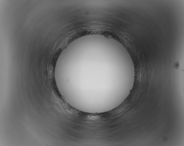 X0000112150283200908071010
