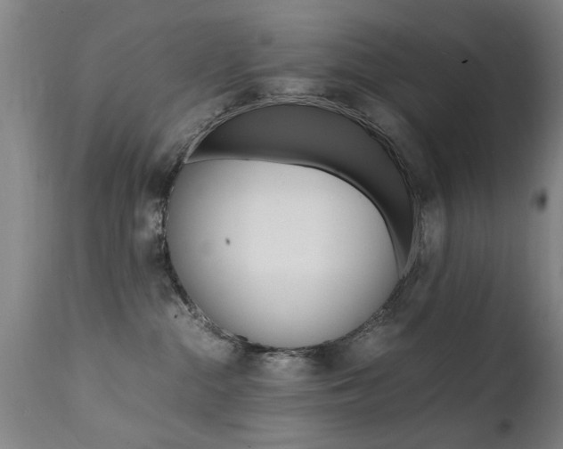 X0000112150284200908071010