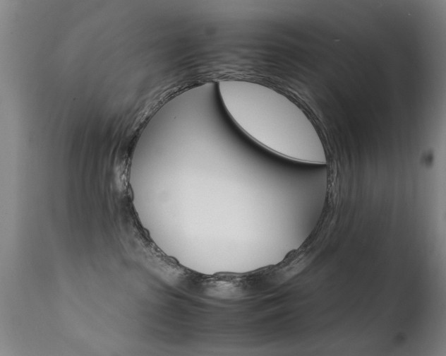 X0000112150285200908071010