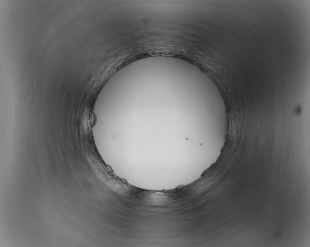 X0000112150287200908071010