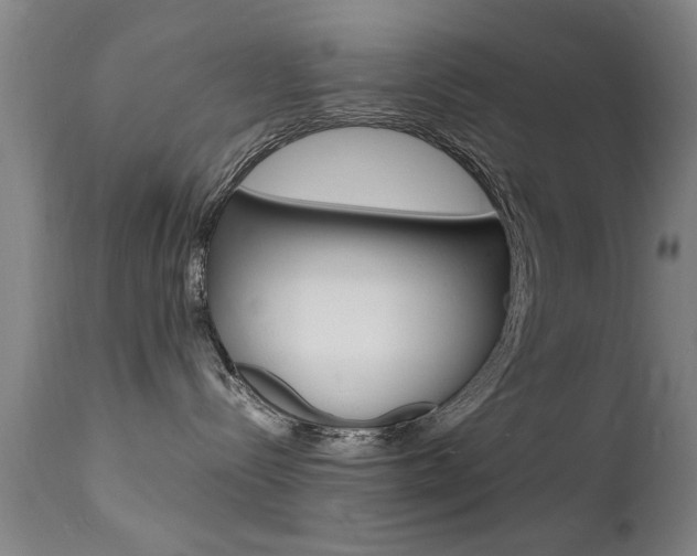 X0000112150288200908071010