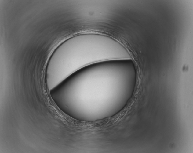X0000112150289200908071009