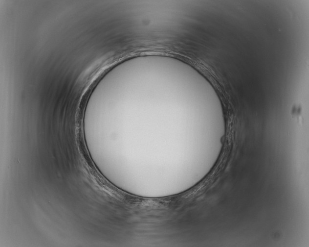 X0000112150290200908071009