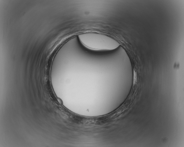 X0000112150291200908071009