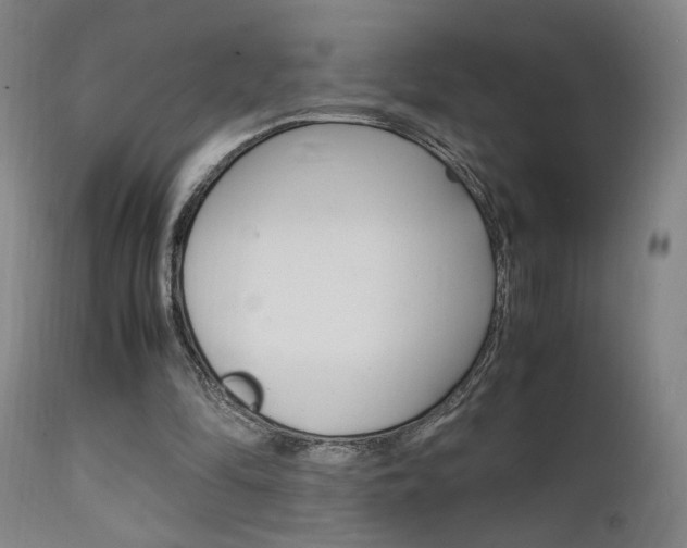 X0000112150294200908071009