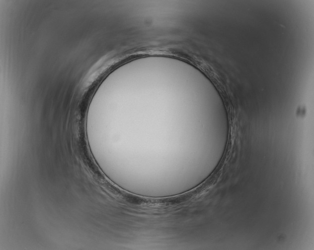X0000112150295200908071009