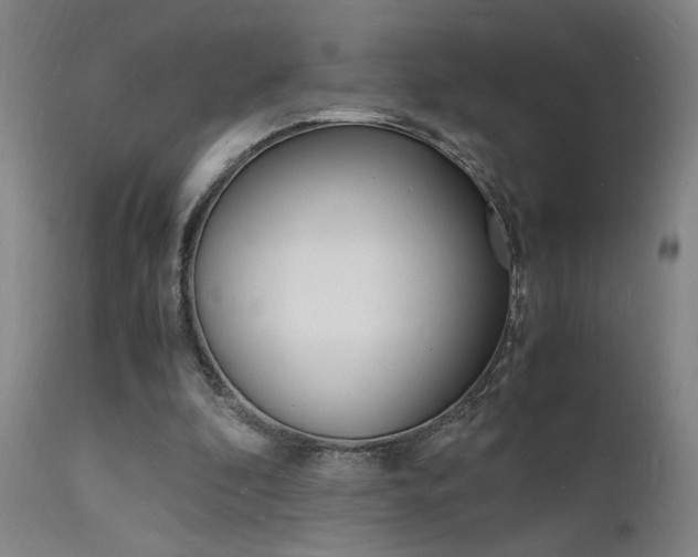 X0000112150296200908071009