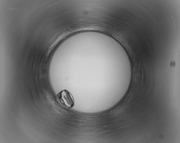 X0000112150300200908071009
