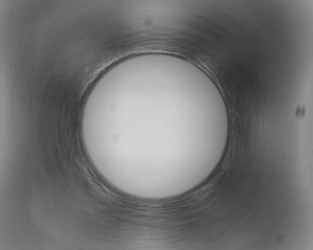 X0000112150301200908071009