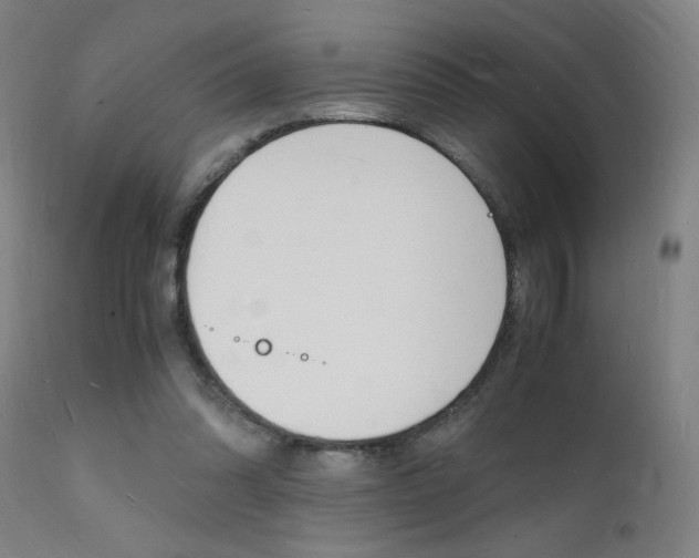 X0000112150302200908071009