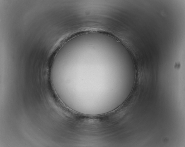 X0000112150304200908071009