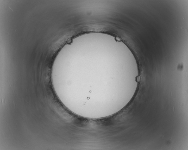 X0000112150305200908071009