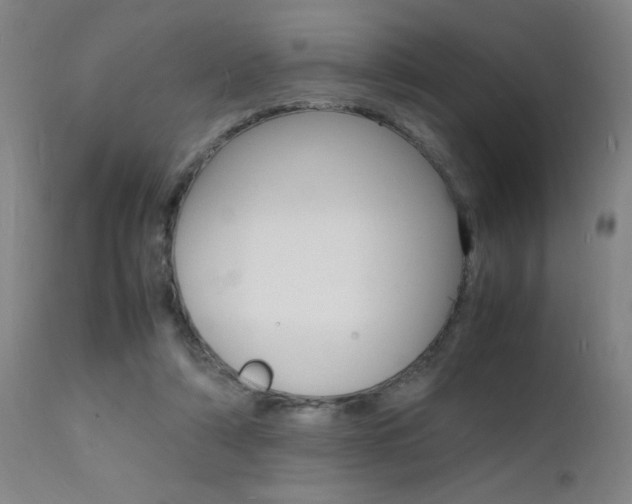X0000112150306200908071009