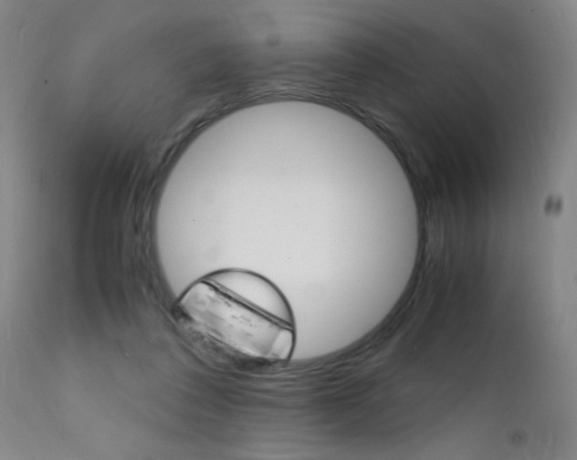 X0000112150308200908071009