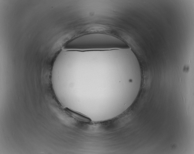 X0000112150309200908071009