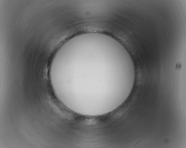 X0000112150310200908071009