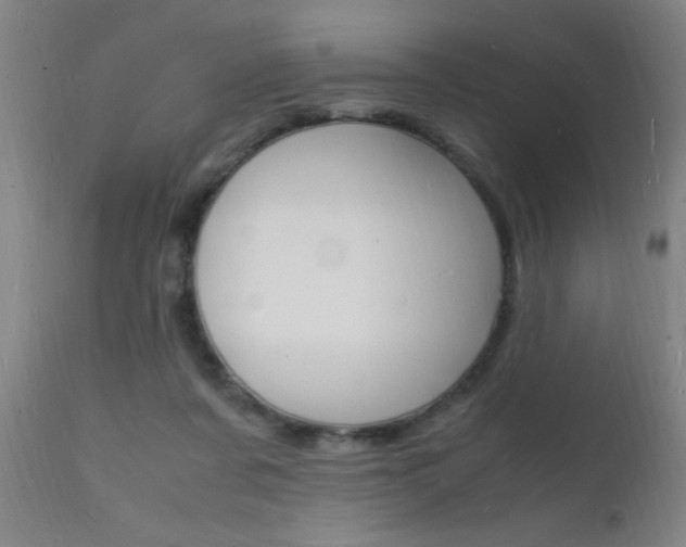 X0000112150311200908071009