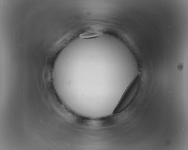 X0000112150313200908071009
