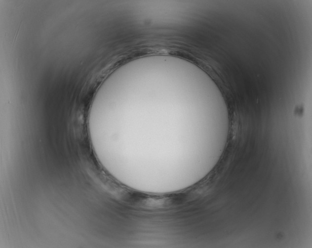 X0000112150314200908071009