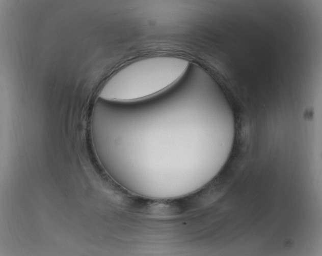 X0000112150315200908071009
