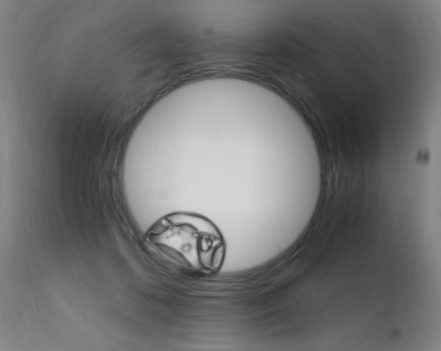 X0000112150316200908071009