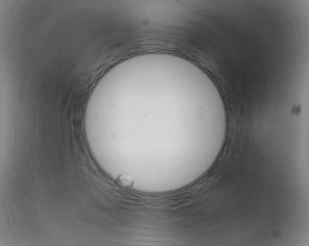 X0000112150317200908071009