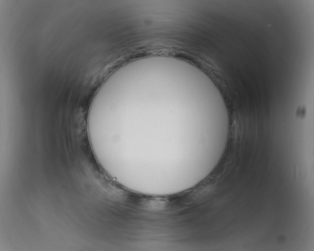 X0000112150318200908071009