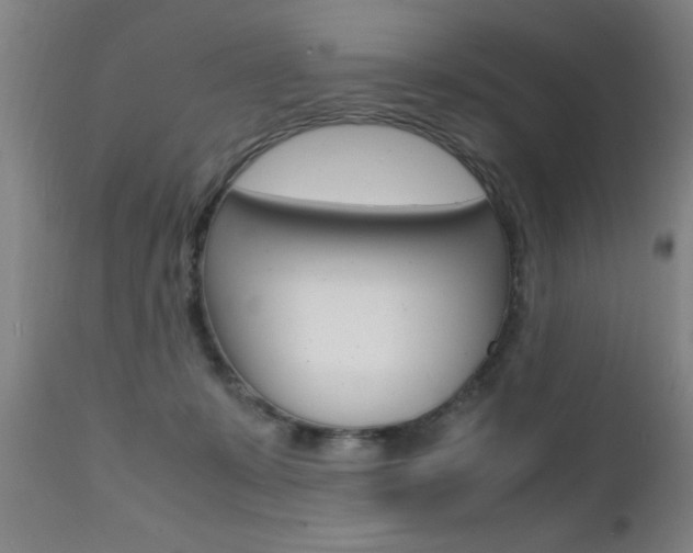 X0000112150319200908071009