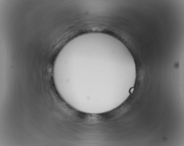 X0000112150321200908071009